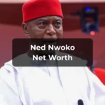 Ned Nwoko Net Worth 2025 Biography, Wealth, Income Sources & Latest Financial Updates