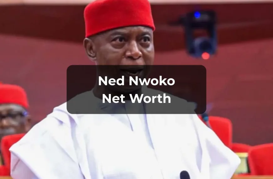 Ned Nwoko Net Worth 2025 Biography, Wealth, Income Sources & Latest Financial Updates