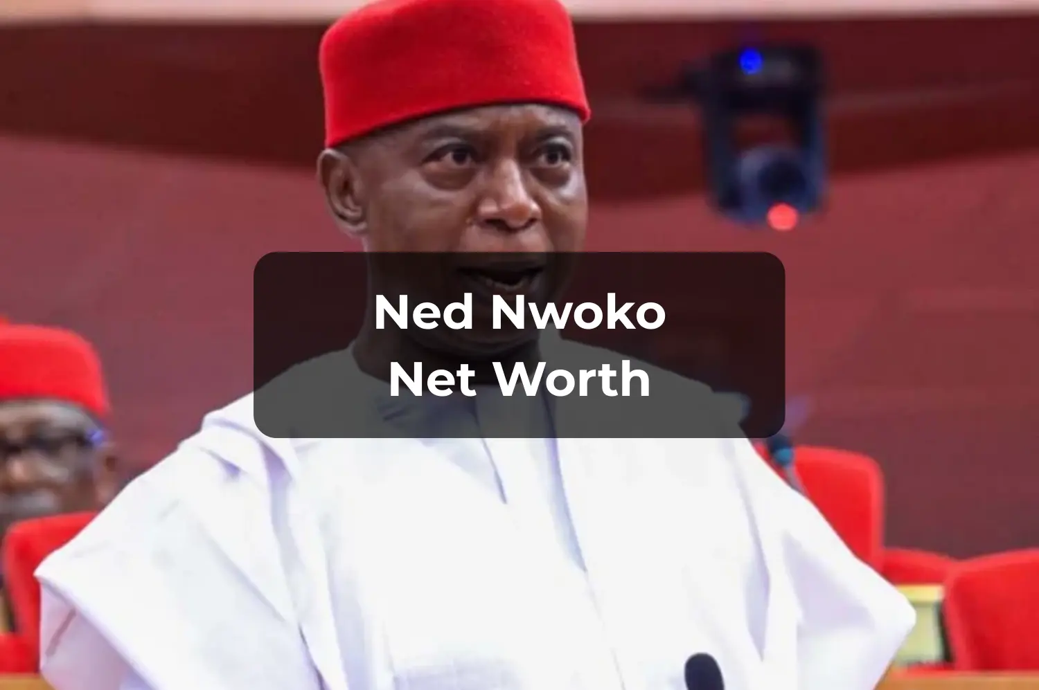 Ned Nwoko Net Worth 2025 Biography, Wealth, Income Sources & Latest Financial Updates