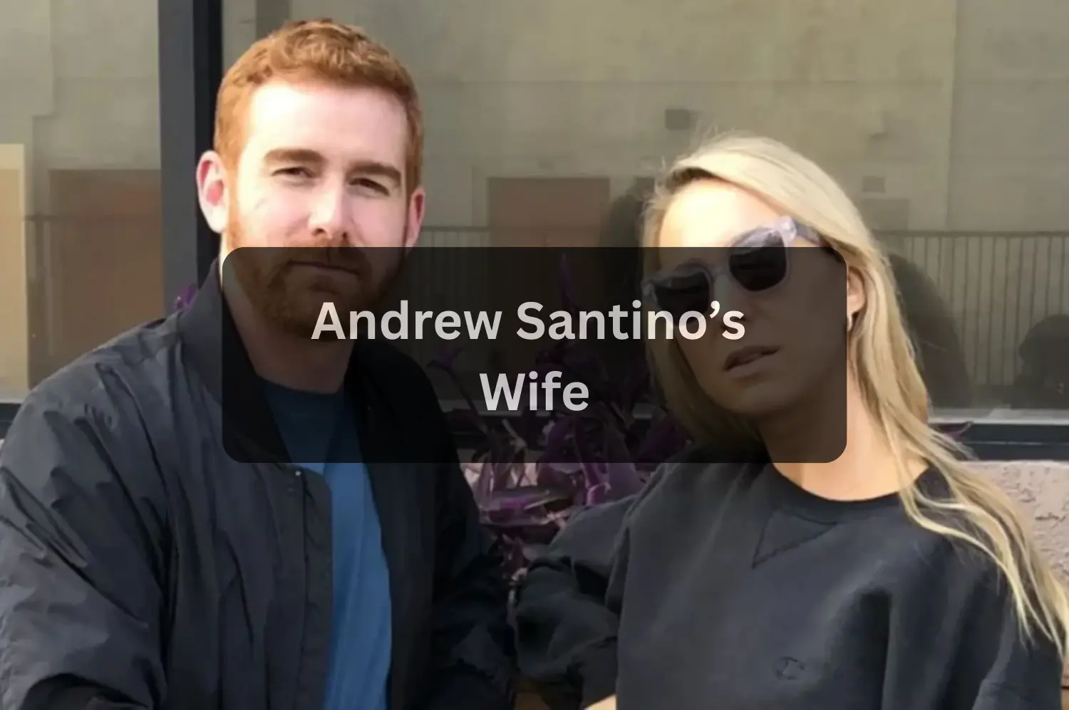 Andrew Santino’s Wife: Everything You Need to Know