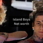 Island Boys Net Worth 2025 True Wealth, Fame & Fortune of the Viral Twins