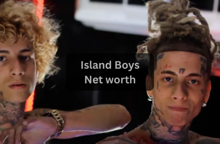 Island Boys Net Worth 2025 True Wealth, Fame & Fortune of the Viral Twins