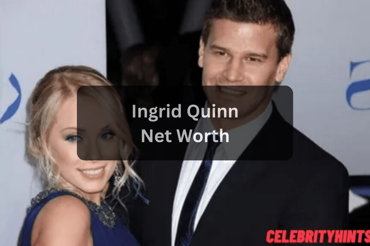 Who Is Ingrid Quinn? David Boreanaz’s Ex-Wife, Life, Career & Where She Is Now