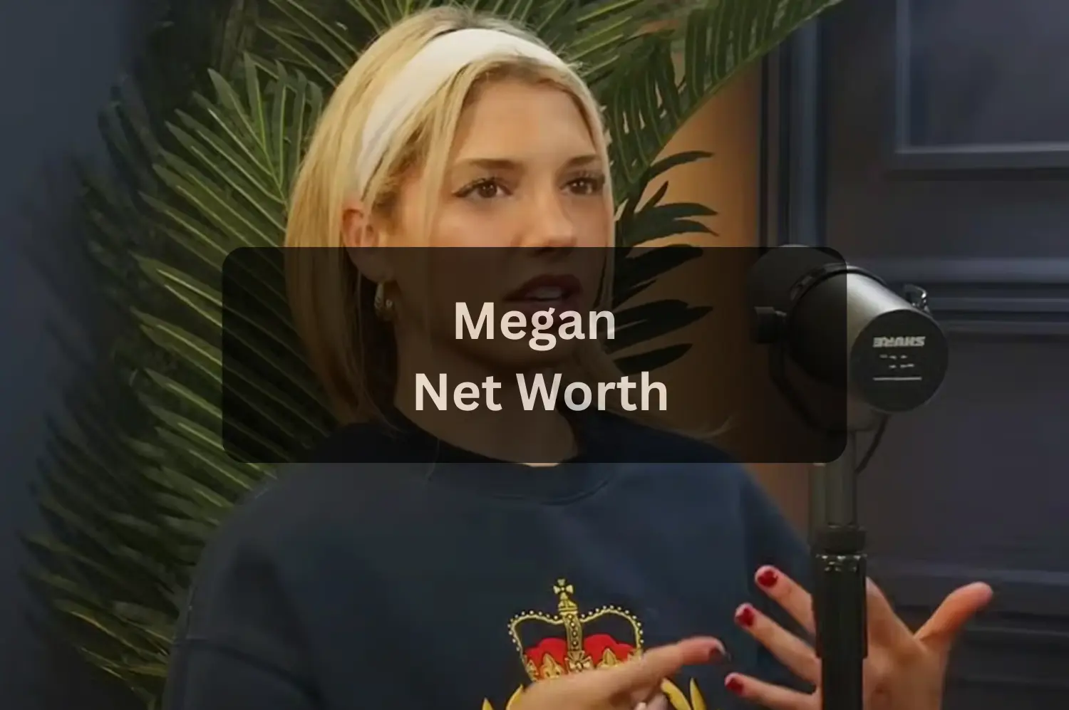 Who is Overtime Megan (Age, Real name, Boyfriend, Career, Height, Weight & Net worth)