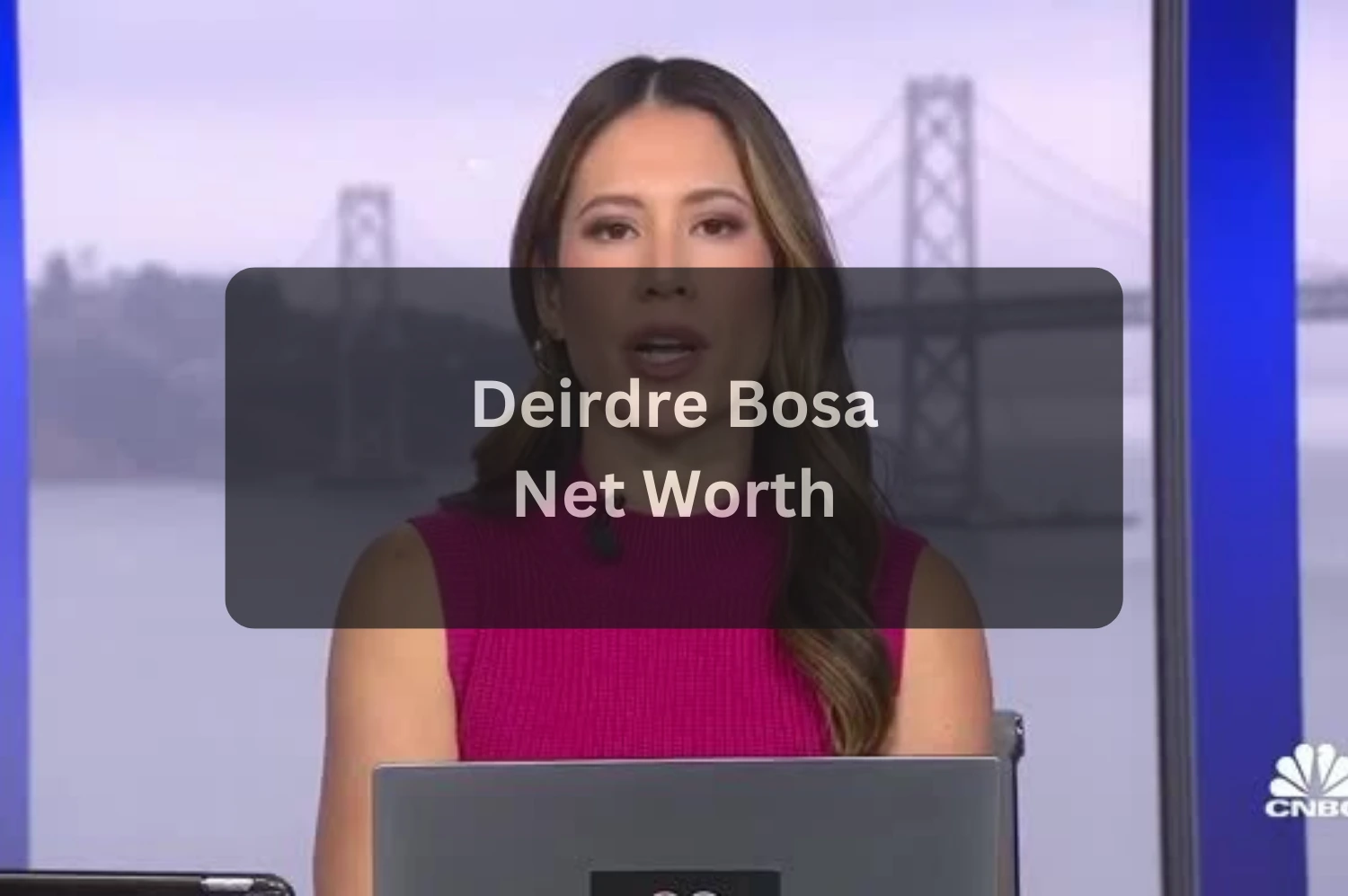 Who Is Deirdre Bosa A Complete Look at the CNBC Anchor, Her Life, Career, and Family